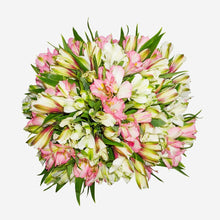 Load image into Gallery viewer, Spring Has Sprung Bouquet

