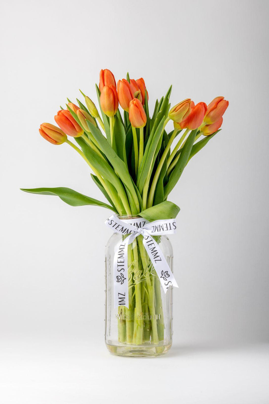 Orange Tulips - Stemmz