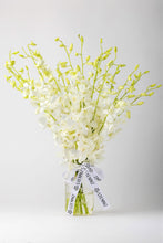 Load image into Gallery viewer, White Orchids - Stemmz
