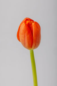 Beautiful Orange Tulips Bouquet